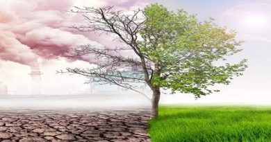 environmental climate change