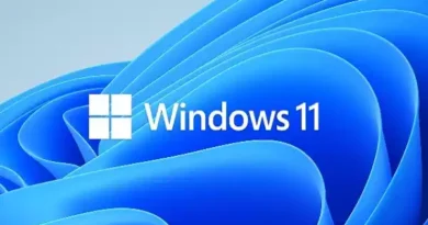 Windows 11 task manager