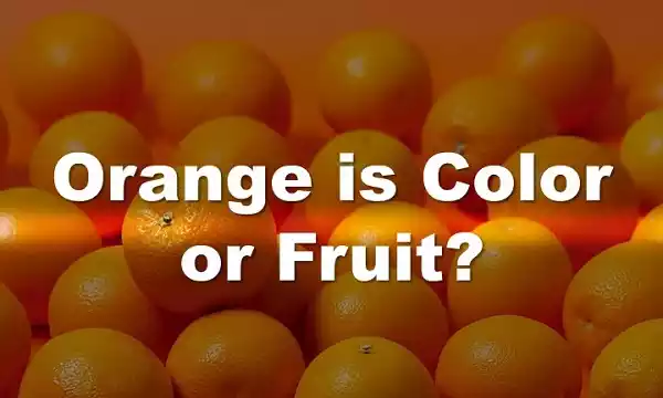 Orange is color or fruit