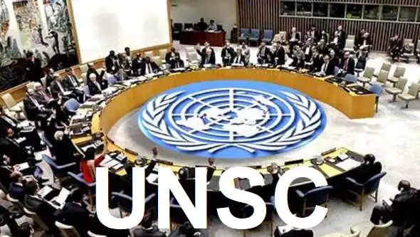India condemns Pakistan at UNSC for sponsoring terrorism across borders