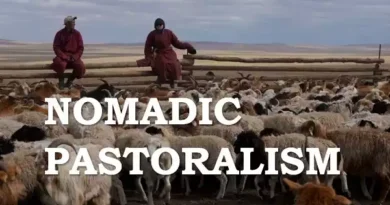 Nomadic Pastoralism