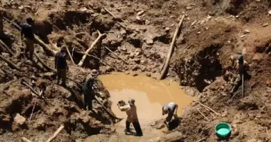 Coltan Mine Collapse in Eastern Congo Kills Over 20
