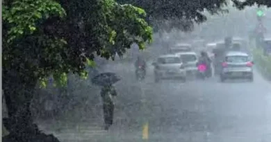 IMD Issues Red Alert for West Coast; Thunderstorms Expected in Delhi, Haryana, Punjab and Gujarat