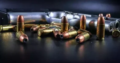 Manipur Security Forces Seize 328 Guns