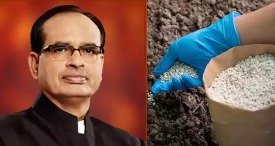 Government Directs Immediate Strict Action Against Substandard Fertilizers