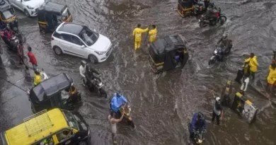 Konkan Rains: Landslide Hits Ratnagiri, Schools Shut in Raigad, Koyna Dam Gates Opened