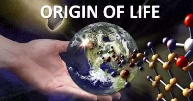 Puga hot springs origin of life