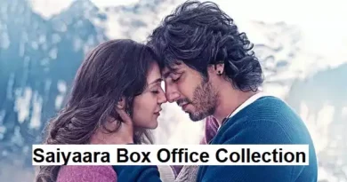 Saiyaara Box Office Collection Day 4 Enters 100 Cr Club, Sets 1st Monday Record of 2025!