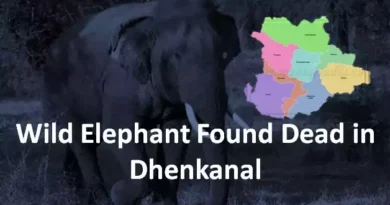 Wild Elephant Found Dead in Dhenkanal