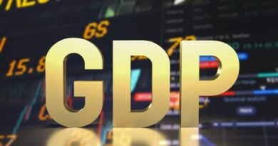 India GDP Growth 2025
