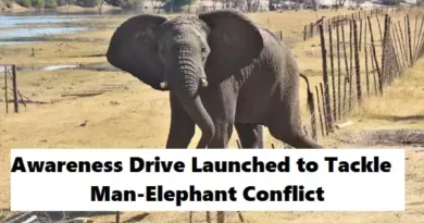 Odisha Launches Awareness Drive in Dhenkanal to Tackle Rising Man-Elephant Conflict