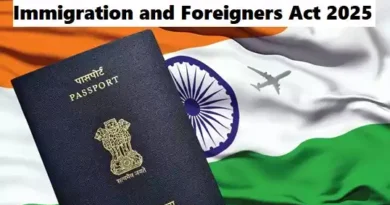 Immigration and Foreigners Act 2025