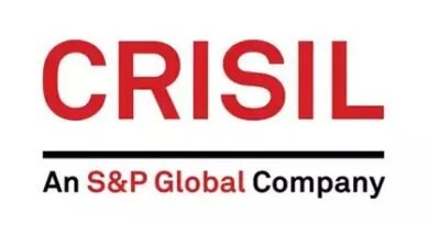 CRISIL Report