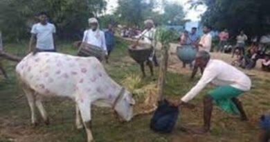 Sohrai festival 2025