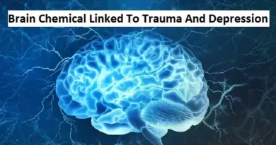 Brain Chemical Linked To Trauma And Depression