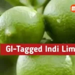 GI Tagged Indi Lime