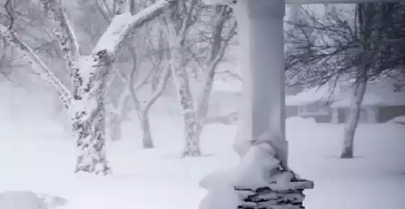 New York Blanketed by 8.5 Inches of Snow as Winter Storm Disrupts Daily Life New York Blanketed by 8.5 Inches of Snow as Winter Storm Disrupts Daily Life