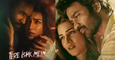 Tere Ishk Mein box office