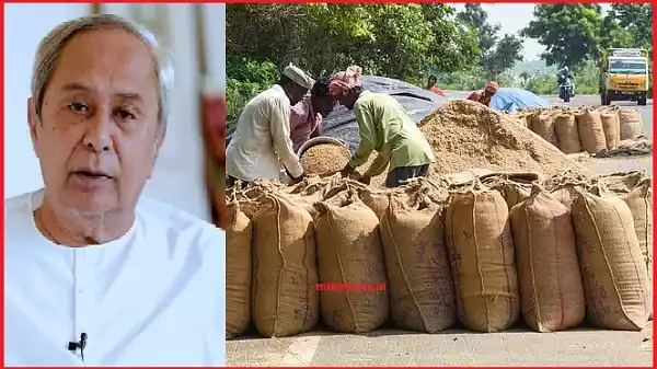 Farmers waiting with paddy at mandis during kharif procurement season in Odisha