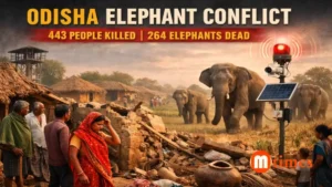 Elephant herd near village in Odisha highlighting human elephant conflict