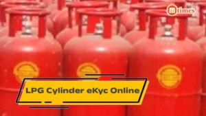 LPG cylinder delivery with Aadhaar authentication and eKYC process illustration in India