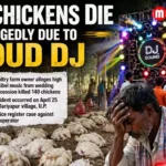 Chickens Die Allegedly Due to Loud DJ Music