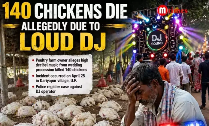 Chickens Die Allegedly Due to Loud DJ Music