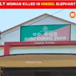 Elderly Woman Killed in Hindol Elephant Attack