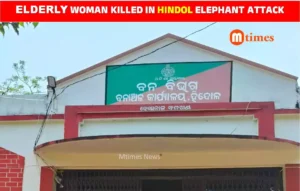 Elderly Woman Killed in Hindol Elephant Attack