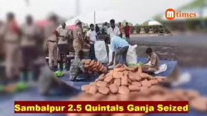 Sambalpur Ganja Seizure 2.5 Quintals Seized
