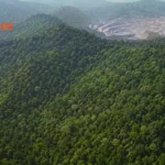Dense forest in Angul district proposed for diversion under the Alakananda coal mining project.