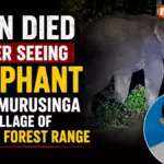 Man Died After Seeing Elephant In Kumurusinga Village Of Hindol Forest Range