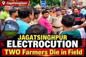 Paddy field in Jagatsinghpur where two farmers died after electrocution