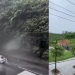 Typhoon Dolphin brings strong winds and heavy rain to Japan and approaches China's east coast.