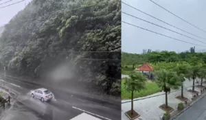 Typhoon Dolphin brings strong winds and heavy rain to Japan and approaches China's east coast.