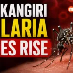 Malkangiri malaria cases