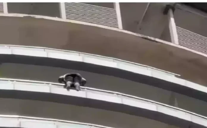 Supernova Spira building in Sector 94 Noida where a 35-year-old man died Supernova Spira building in Sector 94 Noida where a 35-year-old man died