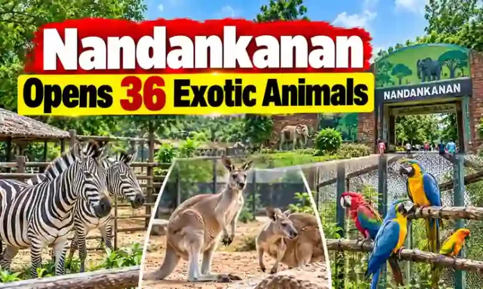 New exotic animals including zebras and kangaroos displayed at Nandankanan Zoological Park in Bhubaneswar.