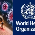 Shamonda virus health news graphic illustrating a virus particle and biting midge.