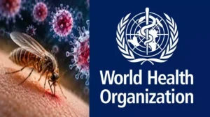 Shamonda virus health news graphic illustrating a virus particle and biting midge.